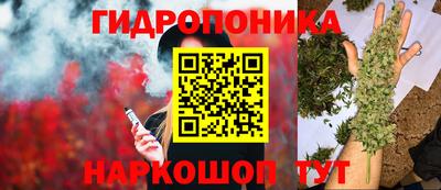 Альфа ПВП Абакан