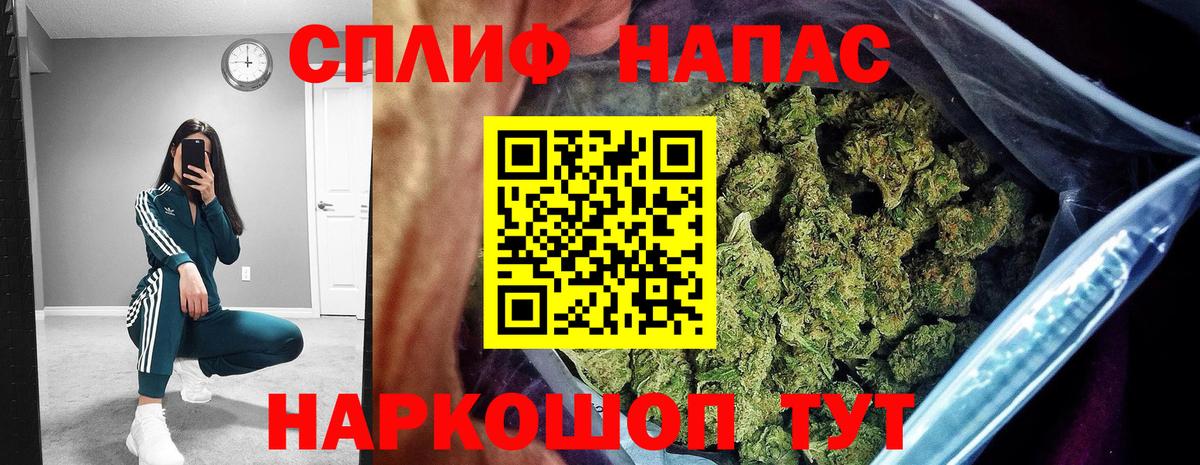 Конопля план Абакан